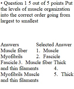 Quiz 3